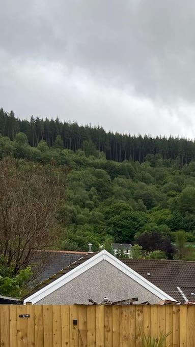 Brynhyfryd Cottage Aberaman Zewnętrze zdjęcie